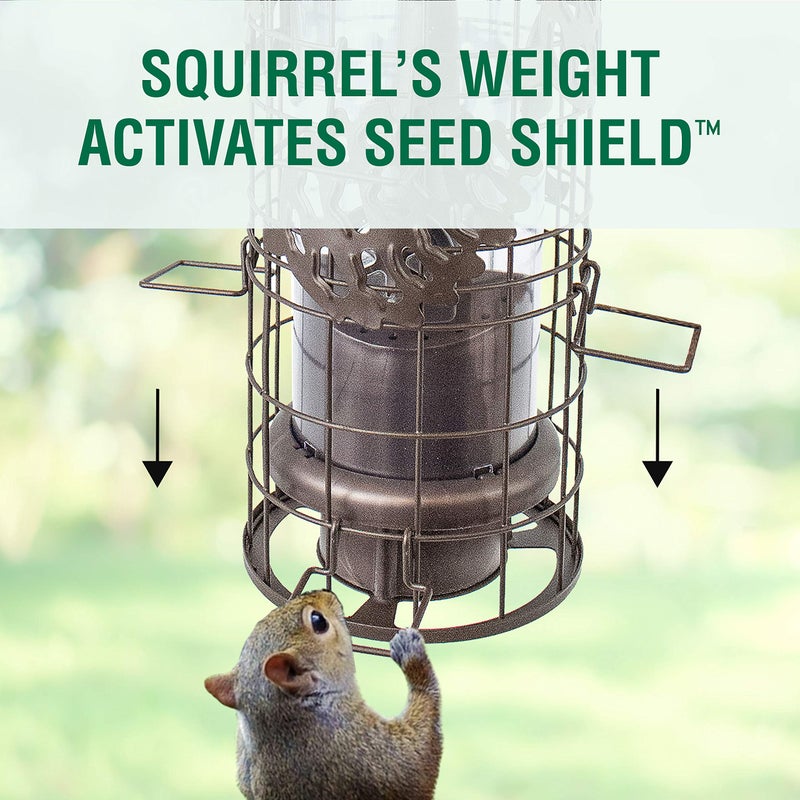 Perky-Pet SBG101 Squirrel Off Max Pinecone Bird Feeder with Flexports â€“ 1.75 lb Capacity - Image 5